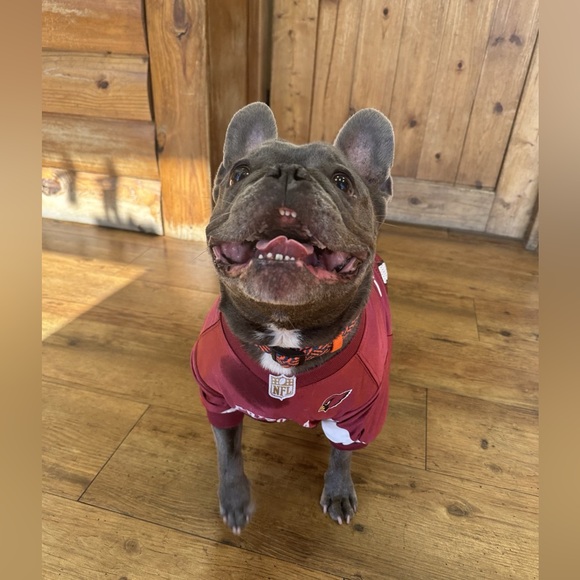 Katie’s Closet - Picture 3 of 4